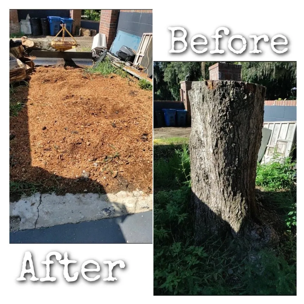 Trusted outdoor landscaping for outdoor upgrades across Jacksonville, FL - Williams Tree Service