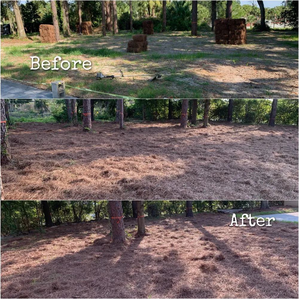 Affordable outdoor landscaping in Jacksonville, FL - Williams Tree Service