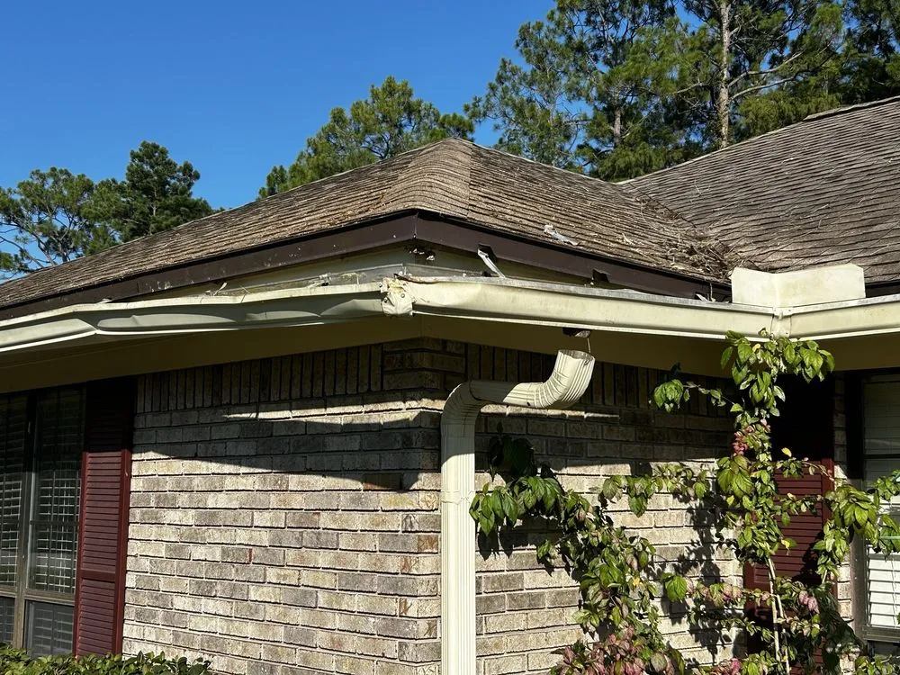 Professional residential landscaping in Jacksonville, FL by Williams Tree Service