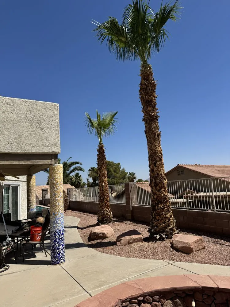 Professional yard cleanup service in Henderson, NV - Williams Yard Maintenance & Solutions