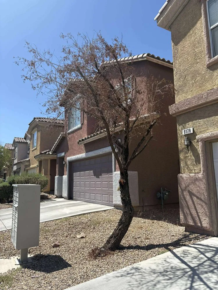 Local garden landscaping for beautiful yards in Henderson, NV by Williams Yard Maintenance & Solutions