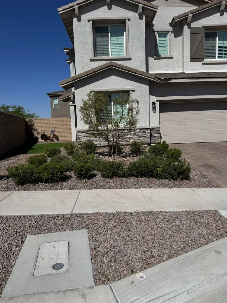 Professional landscape installation in Henderson, NV by Williams Yard Maintenance & Solutions