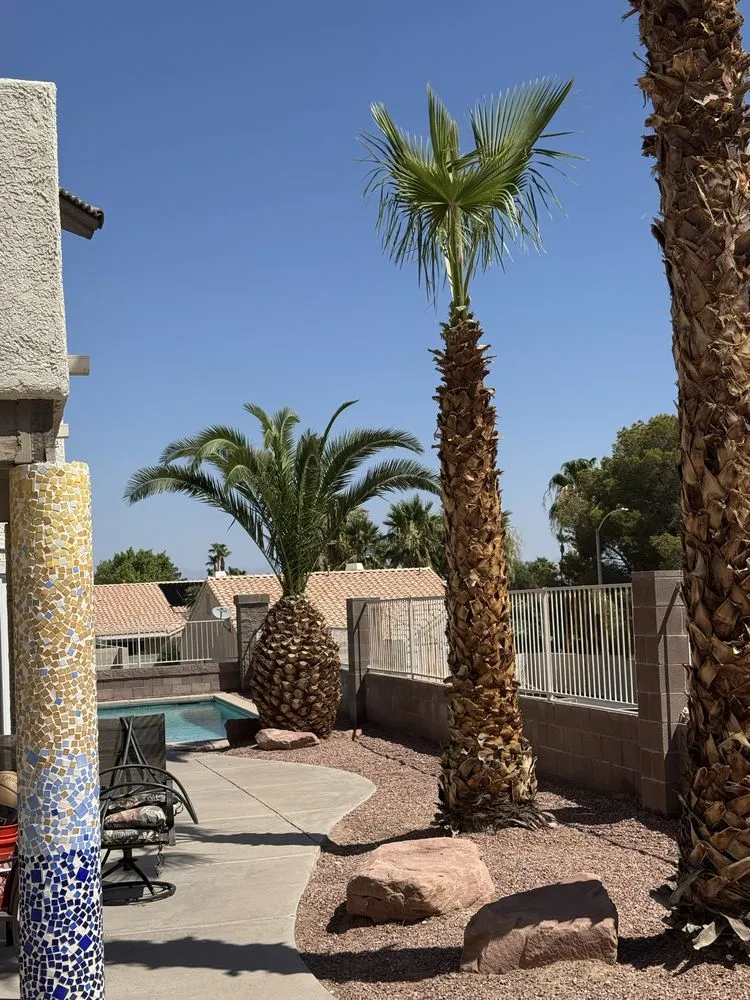 Local garden landscaping in Henderson, NV - Williams Yard Maintenance & Solutions