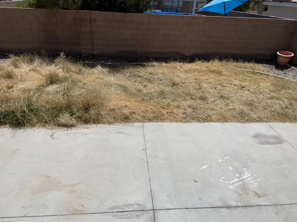 Local outdoor landscaping near you in Henderson, NV by Williams Yard Maintenance & Solutions