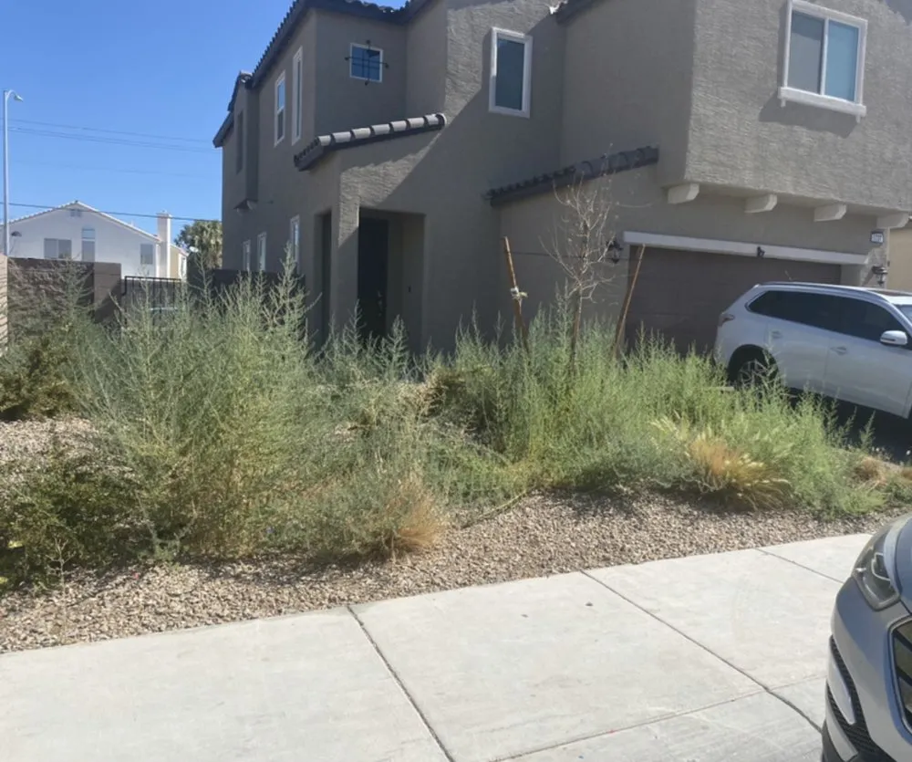 Professional lawn mowing service for outdoor upgrades in Henderson, NV by Williams Yard Maintenance & Solutions