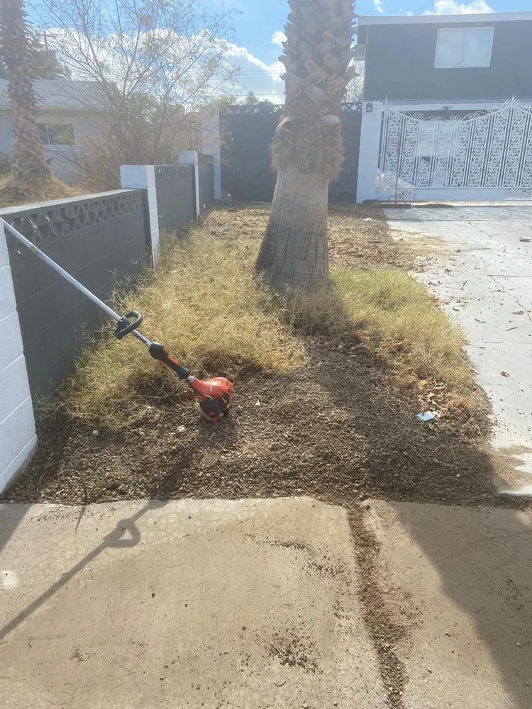 Reliable residential landscaping in Henderson, NV by Williams Yard Maintenance & Solutions