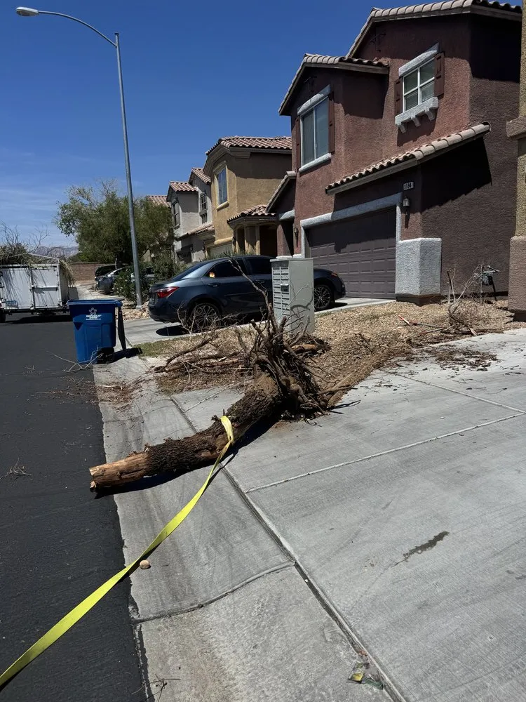 Affordable landscaping services for beautiful yards in Henderson, NV by Williams Yard Maintenance & Solutions