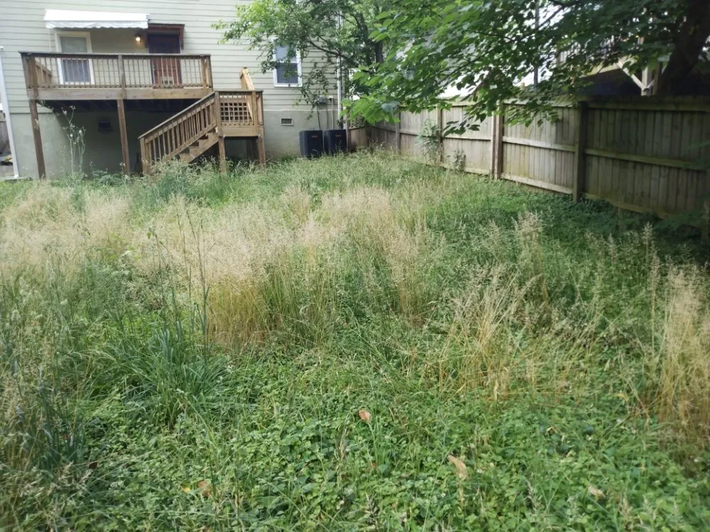 Expert landscape design experts serving Rome, GA - Williamson Bros Landscaping And Lawn Solutions