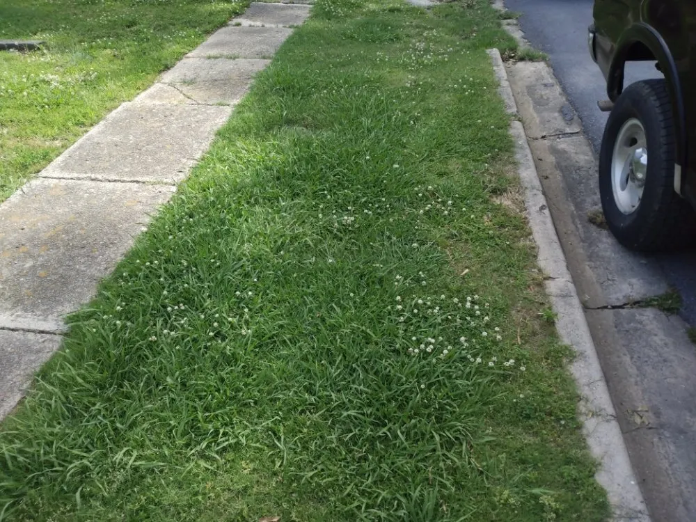 Top-rated lawn care service for year-round maintenance across Rome, GA - Williamson Bros Landscaping And Lawn Solutions