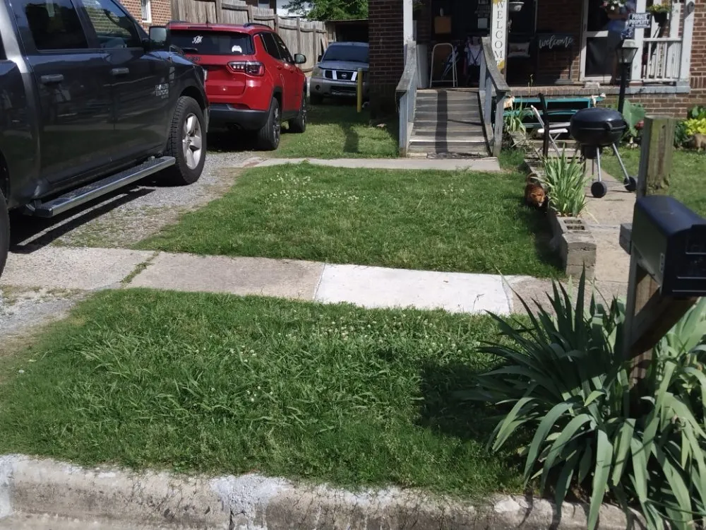 Professional lawn care service in Rome, GA by Williamson Bros Landscaping And Lawn Solutions