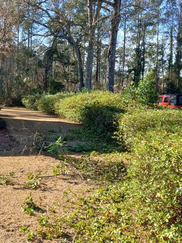 Reliable yard maintenance with custom design in Latta, SC by Williamson Landscaping