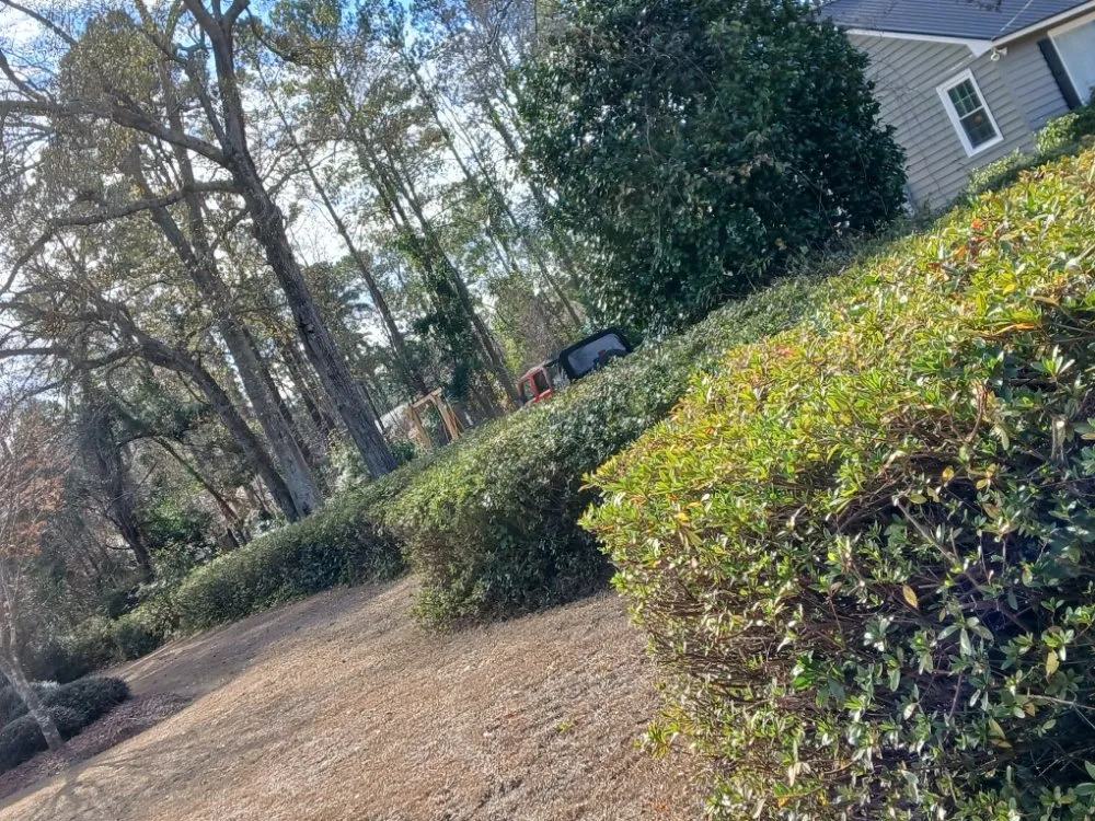 Local outdoor landscaping with custom design across Latta, SC - Williamson Landscaping