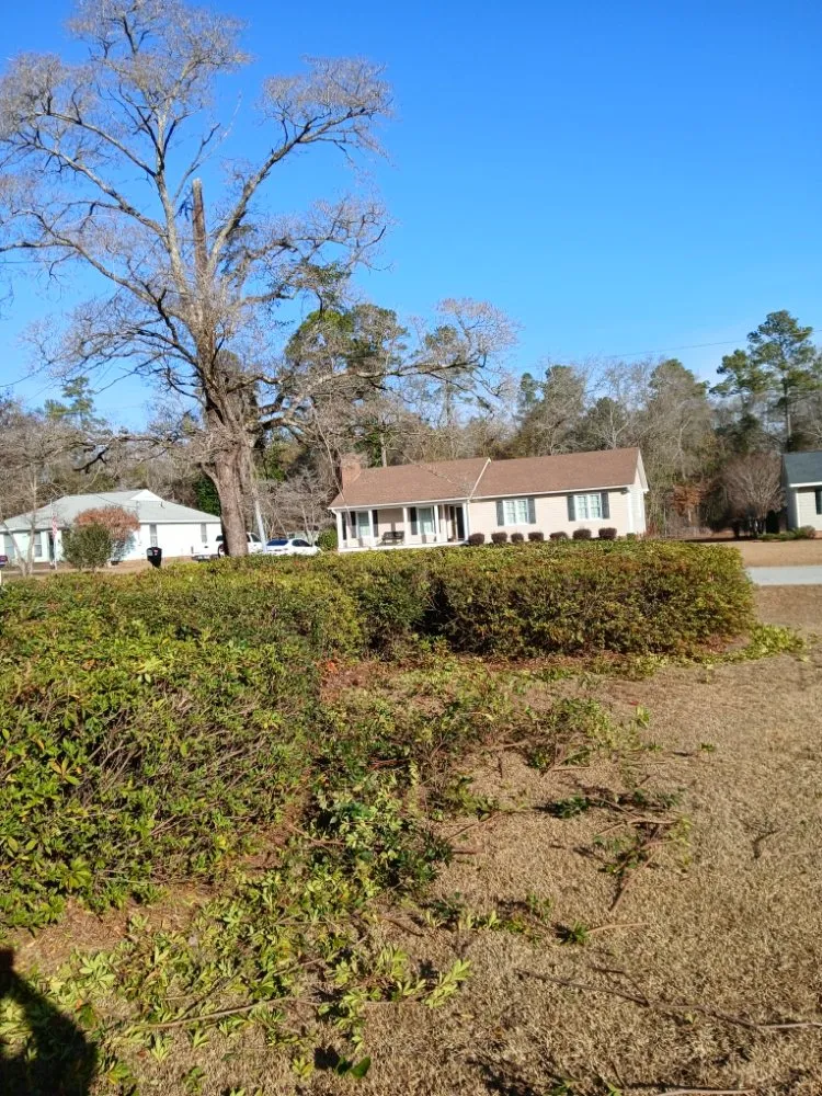 Expert yard maintenance in Latta, SC - Williamson Landscaping