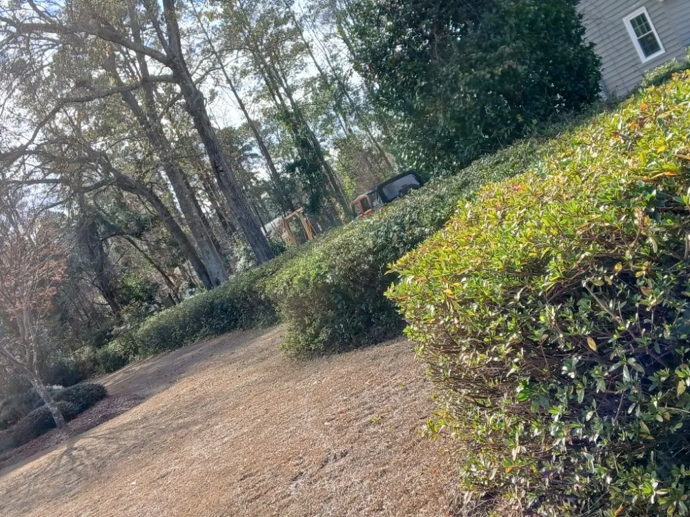 Top-rated lawn mowing service in Latta, SC - Williamson Landscaping