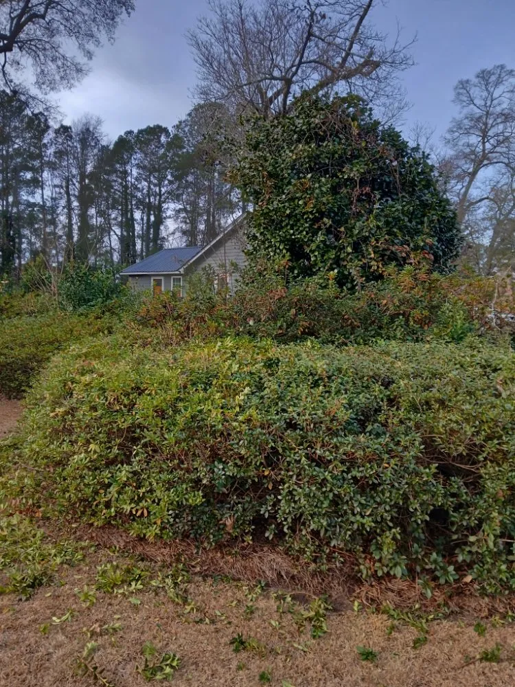 Local lawn mowing service experts serving Latta, SC - Williamson Landscaping