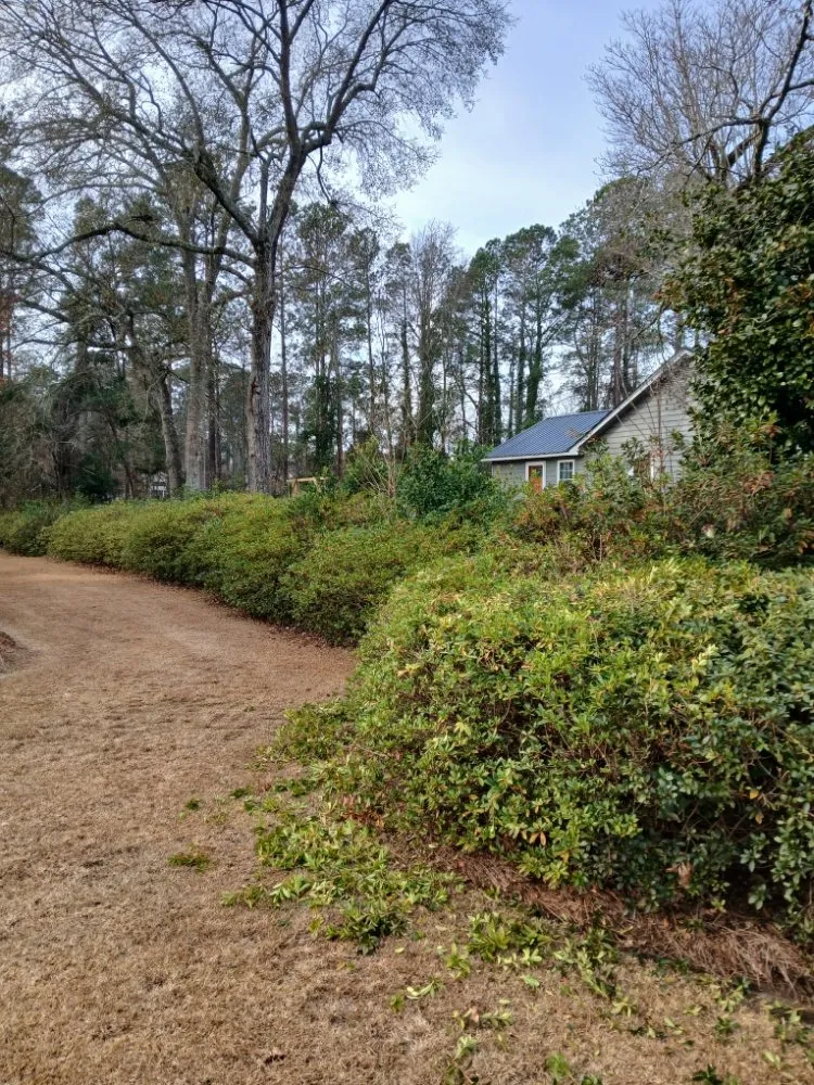 Professional lawn mowing service for year-round maintenance across Latta, SC - Williamson Landscaping