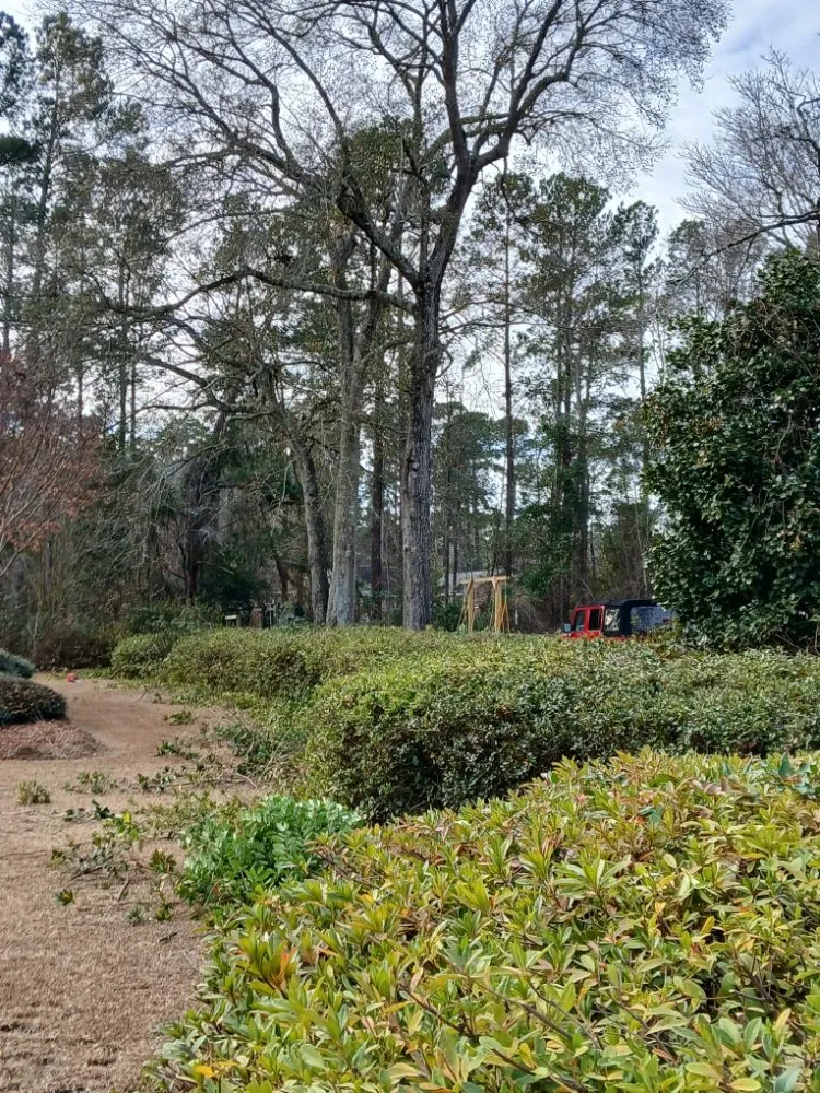 Local yard maintenance in Latta, SC by Williamson Landscaping