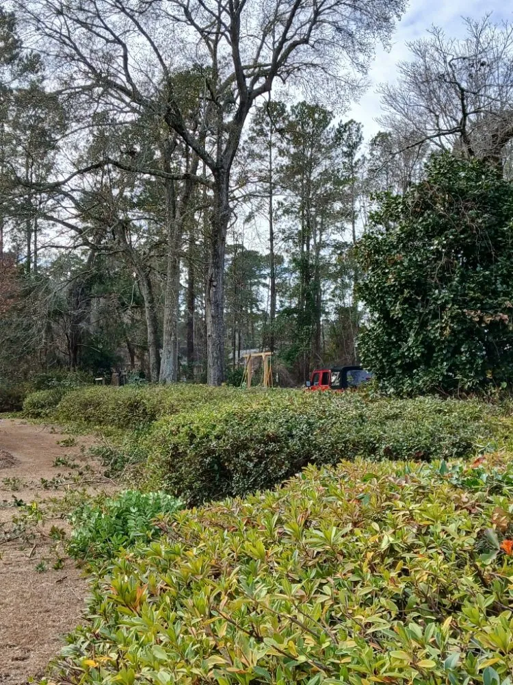 Reliable landscape design in Latta, SC - Williamson Landscaping