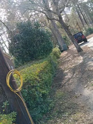 Williamson Landscaping