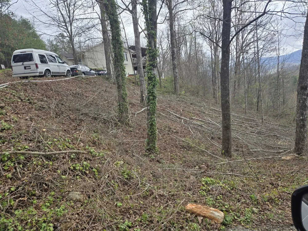 Reliable outdoor landscaping in Whittier, NC by Williamson Lawn Care