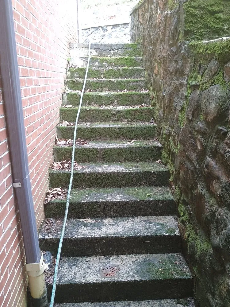 Trusted lawn care service for year-round maintenance across Whittier, NC - Williamson Lawn Care