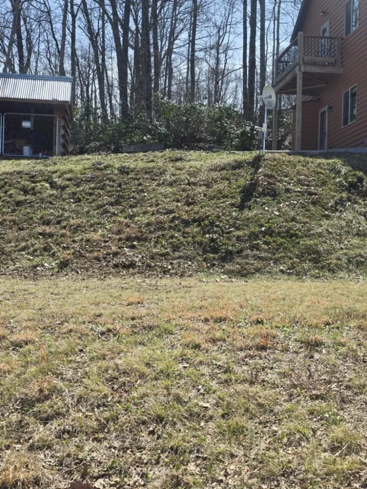 Professional lawn care service in Whittier, NC by Williamson Lawn Care