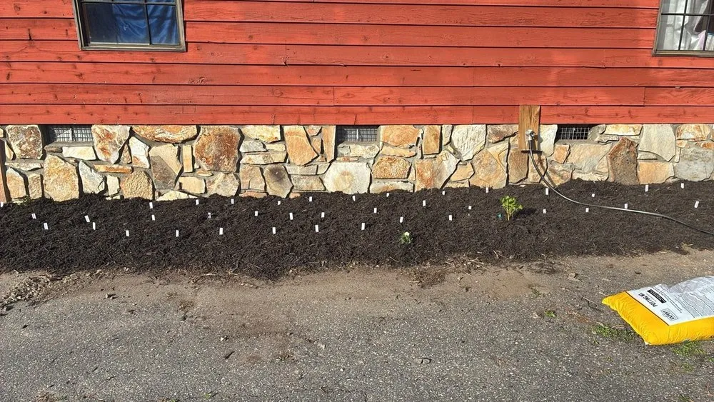 Reliable landscaping services experts serving Whittier, NC - Williamson Lawn Care