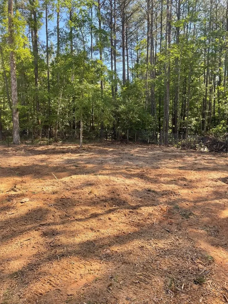 Reliable yard cleanup service with custom design across Macon, GA - Williamson Outdoor Services