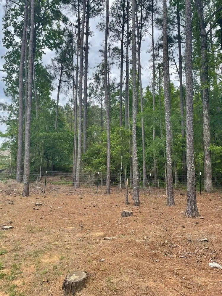 Custom garden landscaping for year-round maintenance in Macon, GA by Williamson Outdoor Services