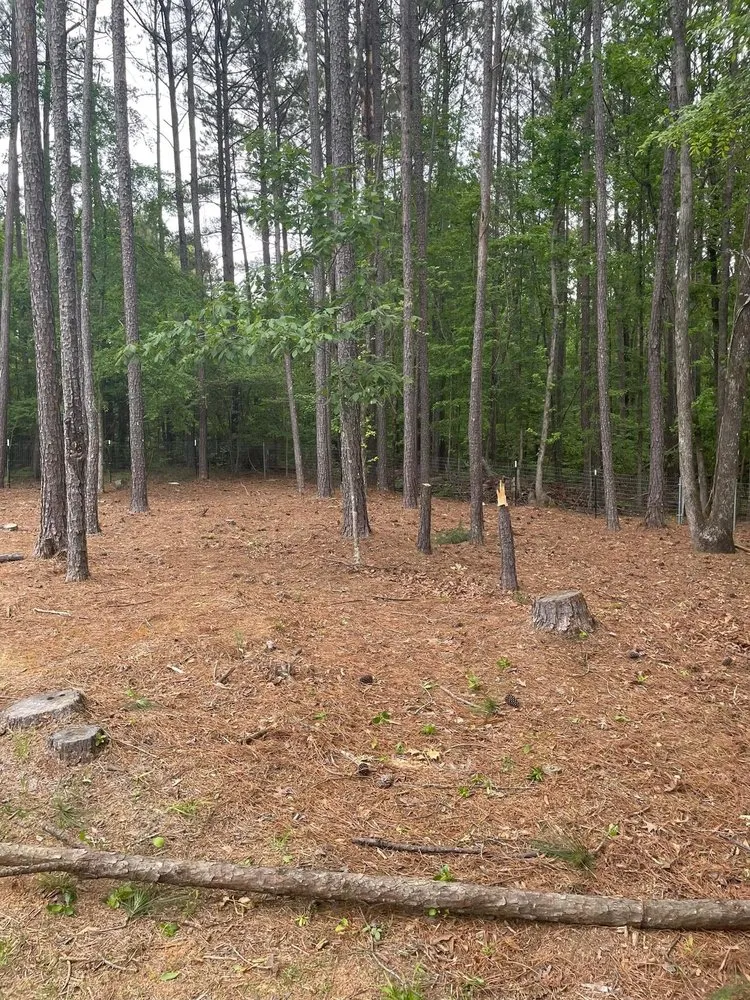 Local outdoor landscaping in Macon, GA - Williamson Outdoor Services