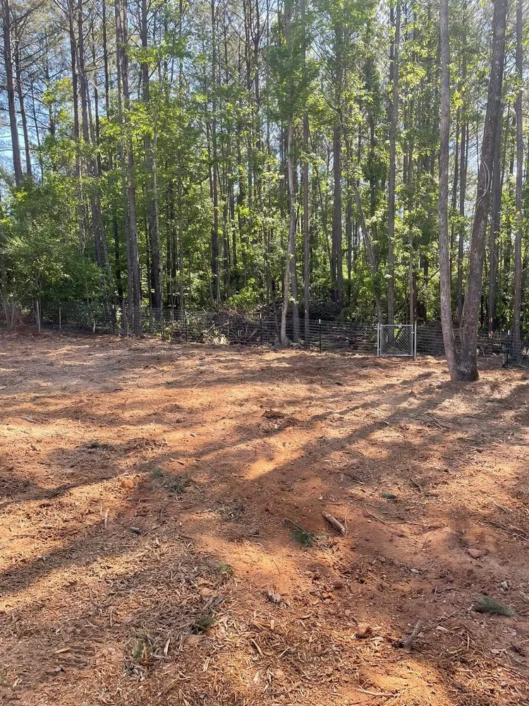 Custom landscape installation for year-round maintenance in Macon, GA by Williamson Outdoor Services