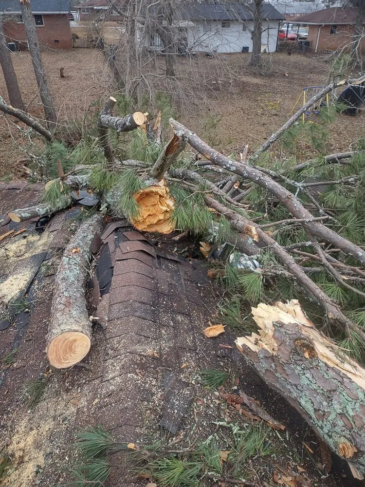 Custom yard maintenance in Macon, GA by Williamson Outdoor Services