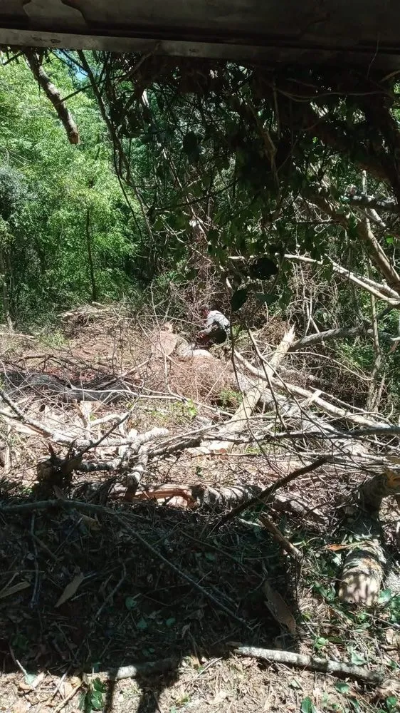 Affordable landscape installation for beautiful yards across Macon, GA - Williamson Outdoor Services
