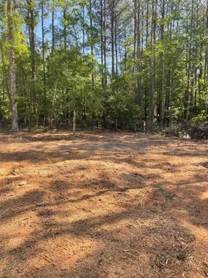 Williamson Outdoor Services