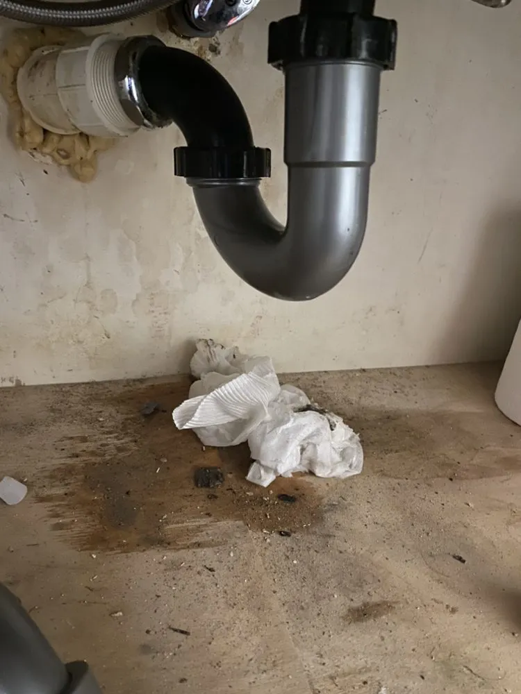 Custom yard cleanup service near you across Lexington, KY - Williamson Small Repair