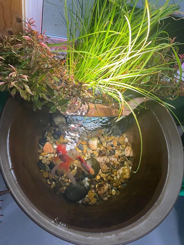 Affordable lawn mowing service experts serving Albion, MI - Williamson’s Water and Woods