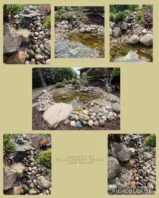 Williamson’s Water and Woods