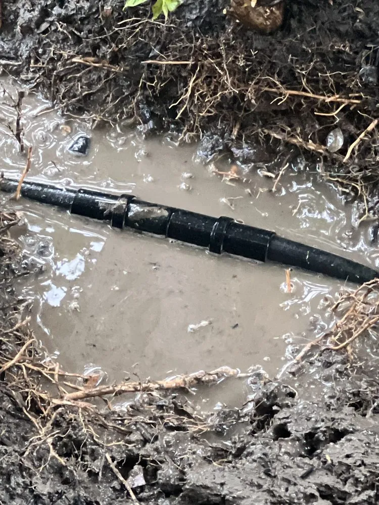 Professional lawn mowing service in Antioch, CA by Willians' Landscaping