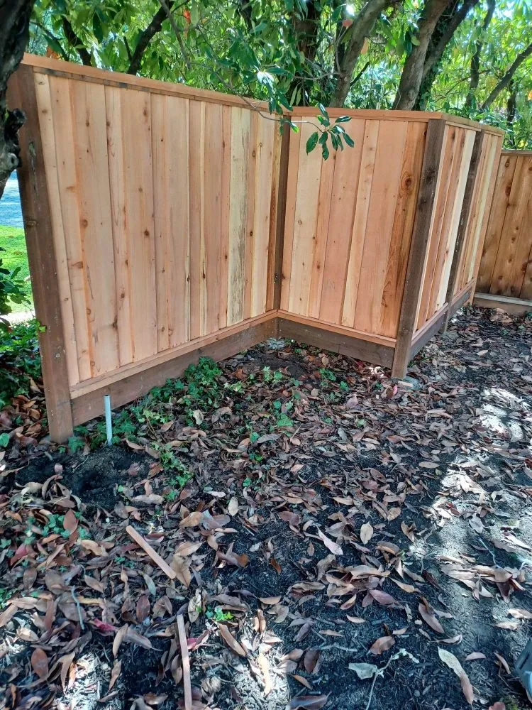 Expert landscaping services for beautiful yards in Antioch, CA by Willians' Landscaping