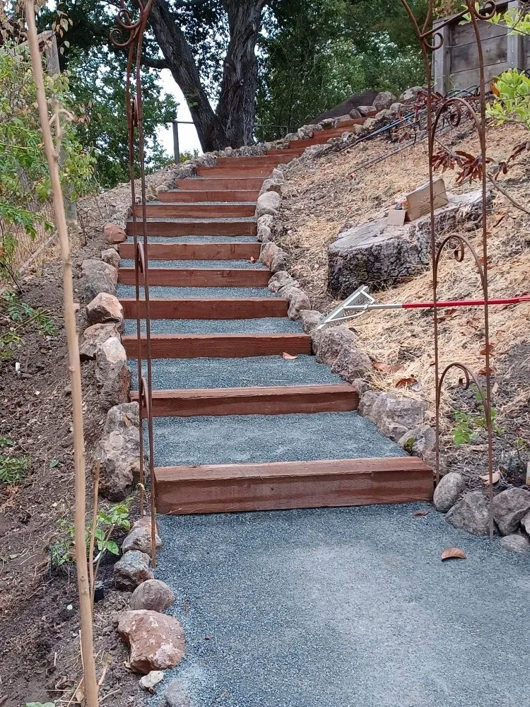 Trusted yard cleanup service in Antioch, CA by Willians' Landscaping