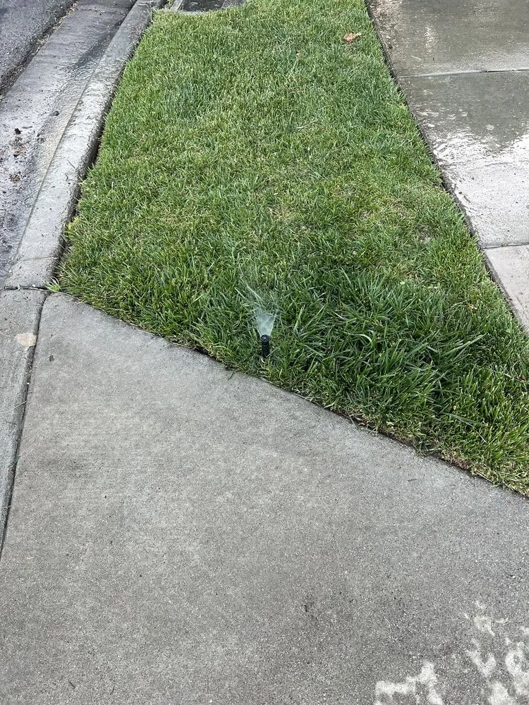 Professional lawn mowing service in Antioch, CA - Willians' Landscaping