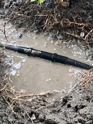 Willians' Landscaping Logo