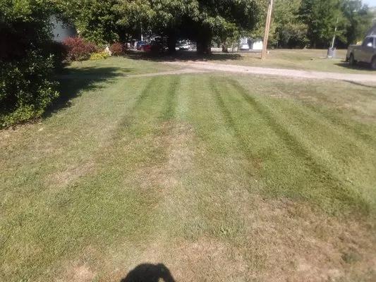 Willie jacks lawn and landscaping