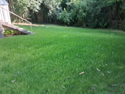 Willie T's Lawn Care Logo