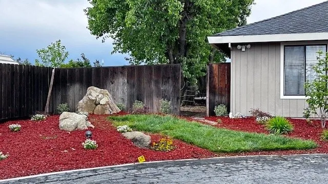 Professional outdoor landscaping in Belmont, CA by Willie's Landscaping Designs