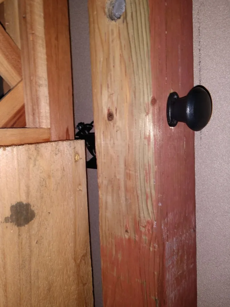 Trusted lawn care service for residential properties across Belmont, CA - Willie's Landscaping Designs