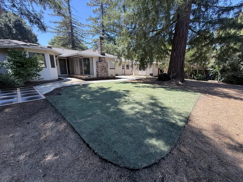 Professional lawn care service in Belmont, CA - Willie's Landscaping Designs