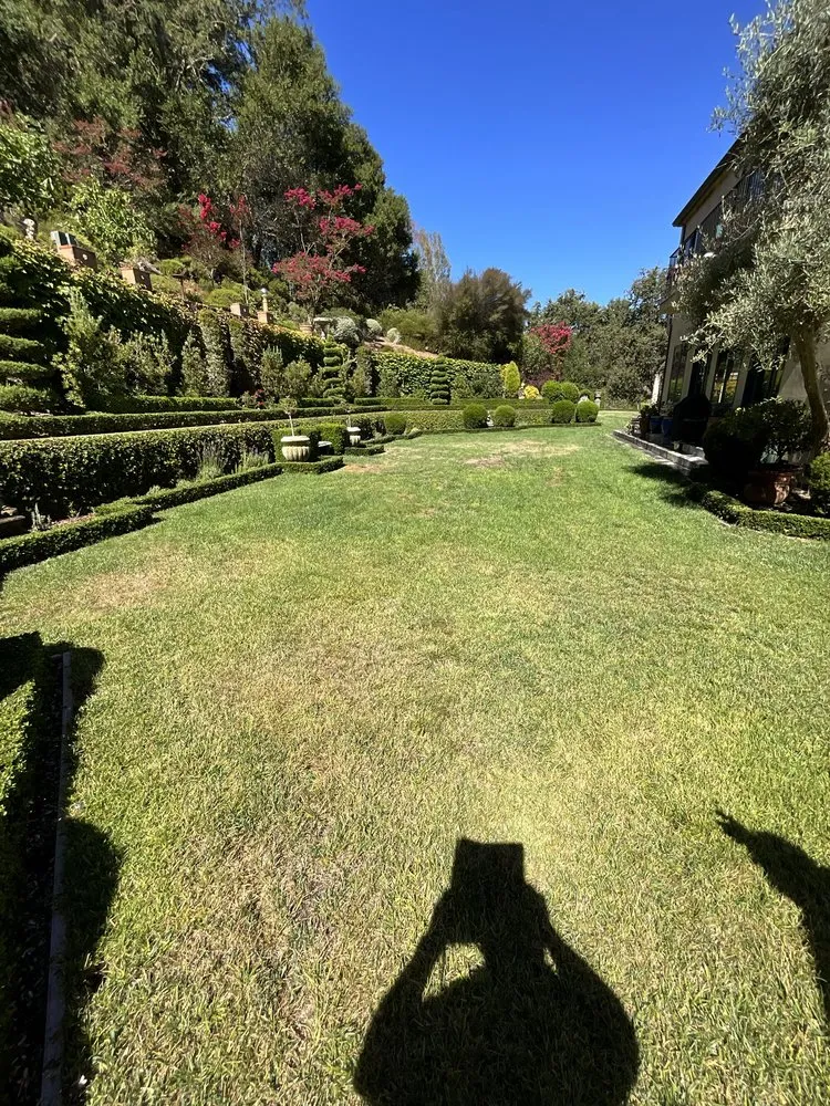 Trusted yard cleanup service in Belmont, CA - Willie's Landscaping Designs