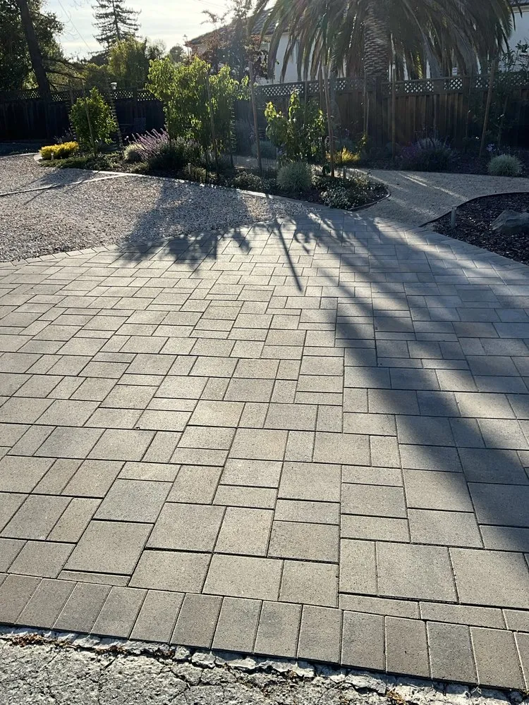 Top-rated yard cleanup service in Belmont, CA by Willie's Landscaping Designs