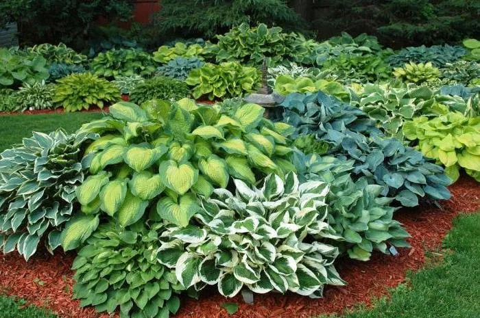 Top-rated landscaping services for beautiful yards in Roselle Park, NJ by Willie's Lawn Care Services